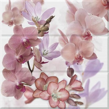 Фото Absolut Keramika декор-панно Orchides Composicion Berenjena 45x45 (комплект 3 шт)