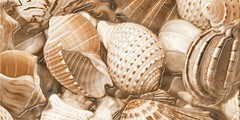 Фото Golden Tile декор Sea Breeze Shells бежевый 30x60 (Е11421)