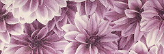 Фото Ceramika Paradyz декор Universo Flower 20x60