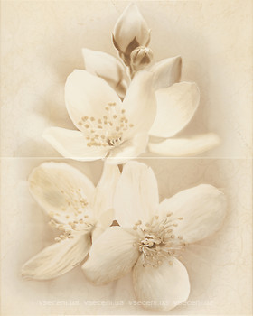 Фото Cersanit декор-панно Diana Flower 40x50 (комплект 2 шт)