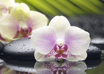 Фото Belani декор Азалия Орхидея 1 фисташковый 25x35