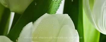 Фото Атем декор Yalta Tulip Maxi 3 W 20x50 (16965)
