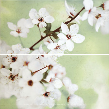 Фото Opoczno декор-панно Early Spring Flower 59.4x60 (комплект 2 шт)