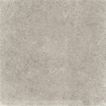 Фото Zeus Ceramica плитка напольная Kingstone Grey 60x60 (X60NF8R)