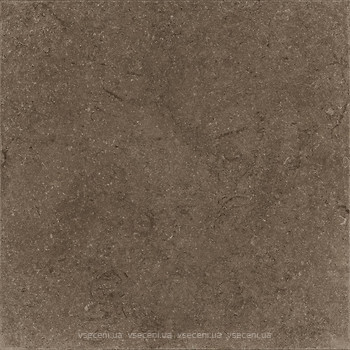 Фото Zeus Ceramica плитка напольная Kingstone Brown 60x60 (X60NF6R)