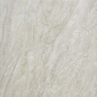 Фото Vivacer плитка Marble 60x60 (6650)