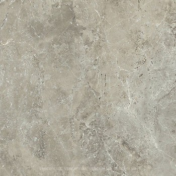 Фото Pamesa плитка Arezzo Tortora Leviglass 60x60