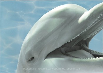 Фото БерезаКерамика декор Лазурь Дельфин 3 бирюзовый 25x35