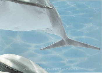 Фото БерезаКерамика декор Лазурь Дельфин 5 бирюзовый 25x35