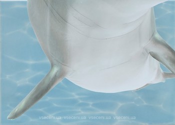 Фото БерезаКерамика декор Лазурь Дельфин 6 бирюзовый 25x35