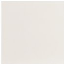 Фото Equipe Ceramicas плитка настенная Evolution Blanco Mate 15x15