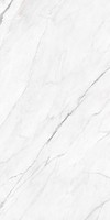 Фото Cerrad плитка Statuario White Polished 16.2x32.4 (43896)