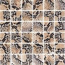 Фото Kotto Ceramica мозаика GMP 0848037 C Print 38 30x30