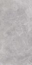 Фото Nowa Gala плитка Silver Grey SY 12 Poler 29.7x59.7