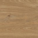 Фото Grespania плитка напольная Patagonia Castano 60x60 (52PT85R)