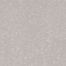 Фото Ceramika Paradyz плитка Moondust Silver Mat 59.8x59.8