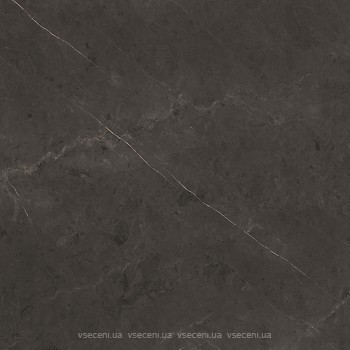 Фото Porcelanosa плитка напольная Karachi Grey 120x120 (P9204284)