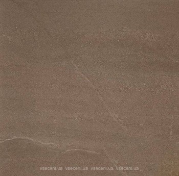 Фото Zeus Ceramica плитка Calcare Brown 60x60 (ZRXCL6BR)