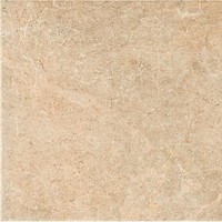 Фото Almera Ceramica плитка Anaya Crema 60.8x60.8