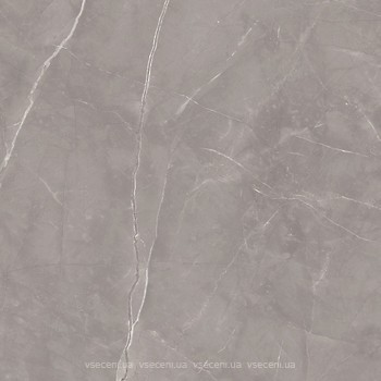 Фото Ceramika Paradyz плитка Ritual Grey Rekt Mat 120x120