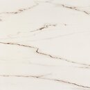 Фото Megagres плитка напольная Statuario White Rectified Polis 120x120