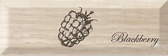Фото Monopole Ceramica декор Creta Fruit Blackberry 10x30