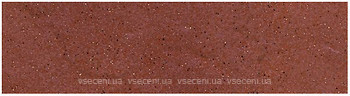 Фото Ceramika Paradyz плитка фасадная Taurus Elewasja Rosa 6.58x24.5