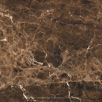 Фото Zeus Ceramica плитка Fiera Del Marmo Dark Emperador 60x60 (ZRXFM6BR)