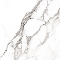 Фото Zeus Ceramica плитка Michelangelo White 60x60 (ZRXMG1BR)