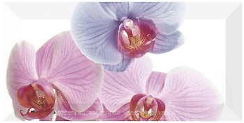 Фото Monopole Ceramica декор Orchidea-1 10x20
