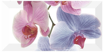 Фото Monopole Ceramica декор Orchidea-2 10x20