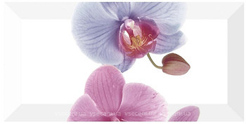 Фото Monopole Ceramica декор Orchidea-3 10x20