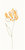 Фото Rako декор Tulip оранжевый 19.8x39.8 (WITMB009)