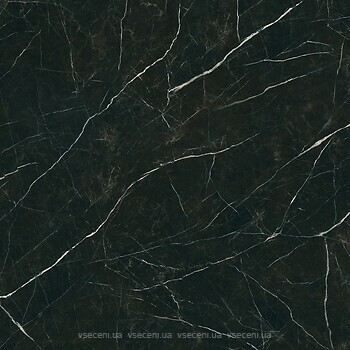 Фото My Way Paradyz плитка Desire Black Poler 120x120