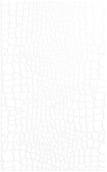 Фото Golden Tile плитка настенная Кайман белая 25x40 (К40051)