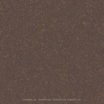 Фото Rako плитка Linka Brown Black 60x60 (DAK63826)