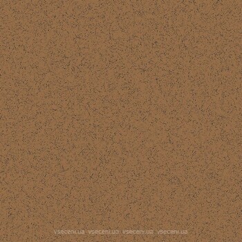 Фото Rako плитка Linka Brown 60x60 (DAK63823)