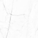 Фото Aparici плитка Vivid White Calacatta Pulido 60x60