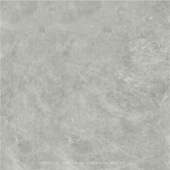 Фото Kale плитка напольная Fiore 60x60 Grey (GS-D7625R)