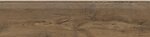 Фото Cerrad ступень Guardian Wood Honey Rect 30x120 (5903313339087)