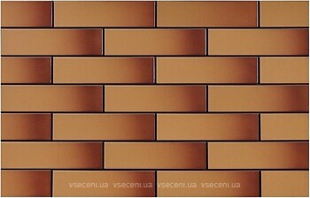 Фото Cerrad плитка Miodova Orange 24.5x6.5 (5903263449850)