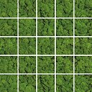 Фото Ceramika Konskie мозаика Parma Mosaic Green Moss Mosaic 24.8x24.8