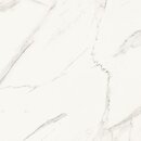 Фото TAU Ceramica плитка Saffire White 60.8x60.8