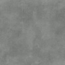 Фото Cersanit плитка напольная Silver Peak GPTU 603 Grey 59.3x59.3 (TGGR1015964937)
