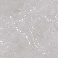 Фото Allore Ceramica плитка Marmolino Silver Mat 60x60