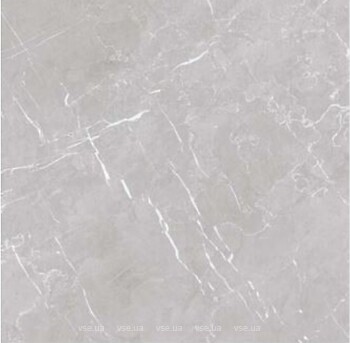 Фото Allore Ceramica плитка Marmolino Silver Poler 60x60