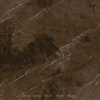 Фото Allore Ceramica плитка Marmolino Brown Pol 60x120