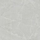 Фото Geotiles плитка Indic Perla Natural Rect 120x120