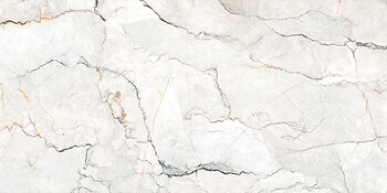 Фото Geotiles плитка Sauvage Pearl Natural Rect 60x120
