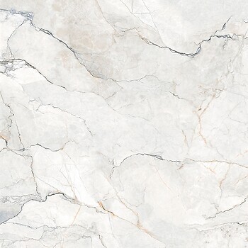 Фото Geotiles плитка Sauvage Pearl Natural Rect 90x90